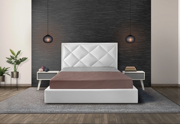 Venera bed